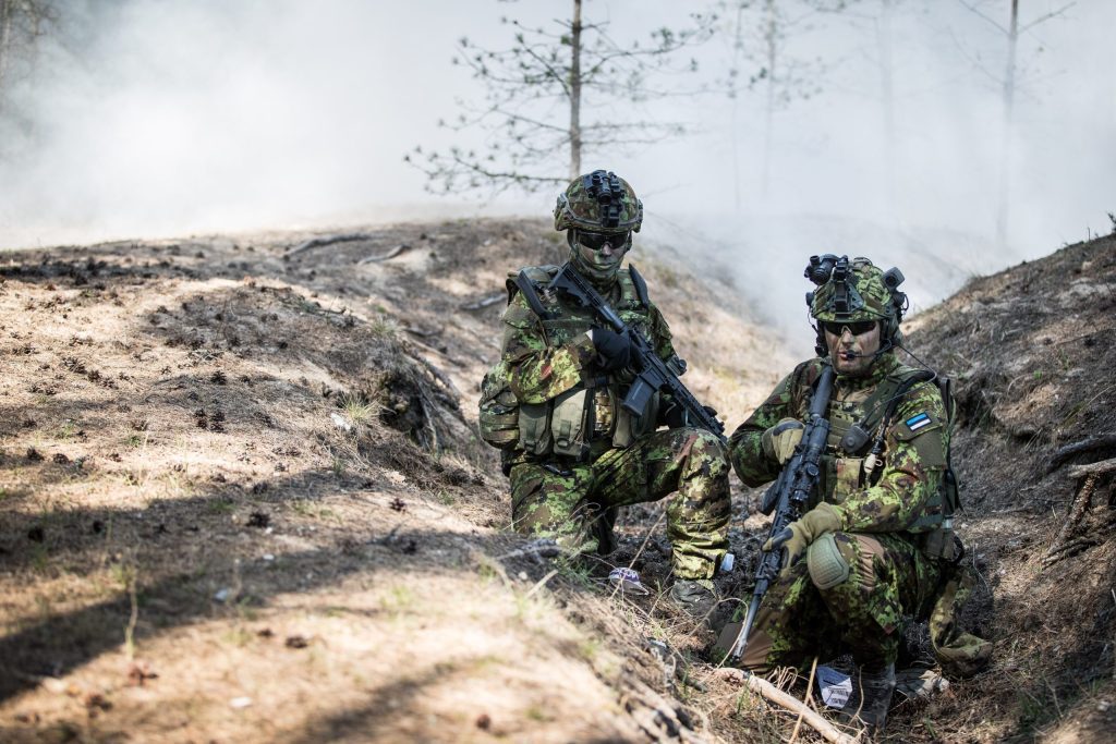 porfline-militaar-eesti-digilaik